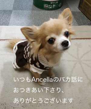 アンセラのバカ話