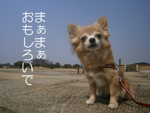 まぁまぁおもしろい
