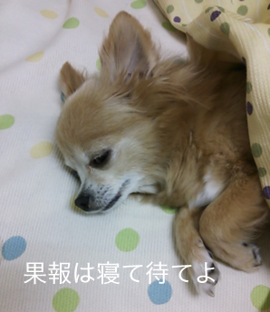 果報は寝て待て