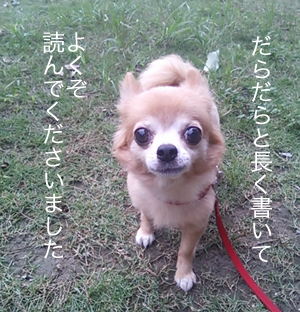 よくぞ読んでいただきました