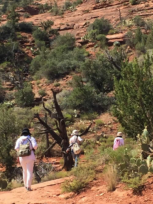セドナ　カセドラルロック途中