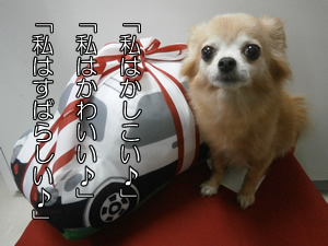 私はすばらしい