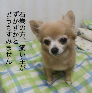ずかずかとすみません
