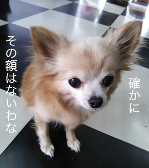 確かに