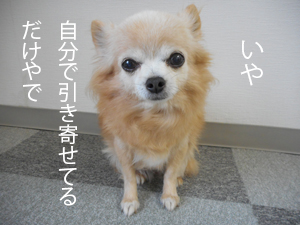 引き寄せている