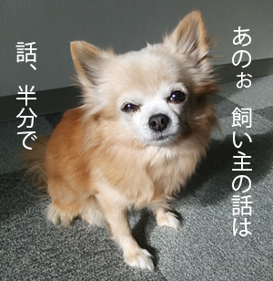 DSC_1244 話半分で