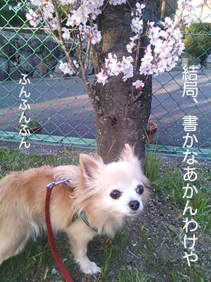書かなあかん