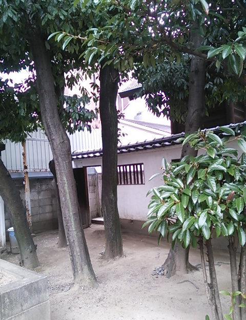 サムハラ神社裏