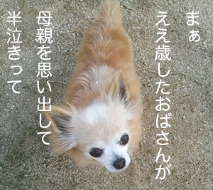 半泣き