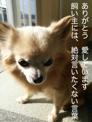 ありがとう