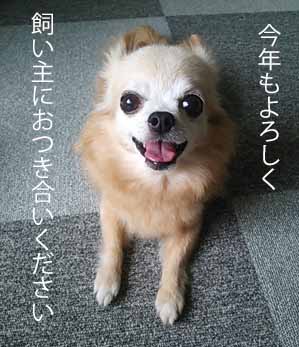 今年もよろしく
