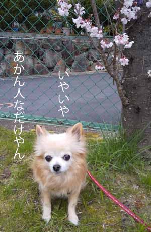 あかん人