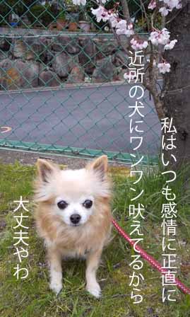 感情に正直