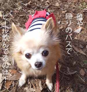 帰りのバス