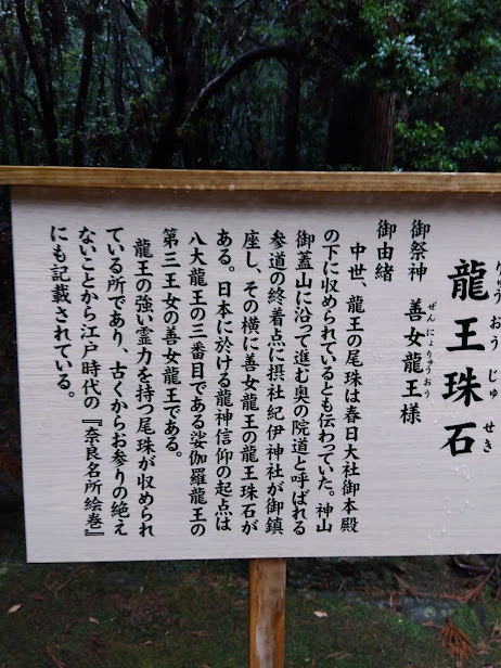 IMG_2026-02-11-珠石説明 珠石説明