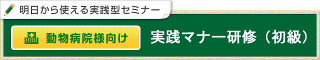 新人向け　実践マナー研修