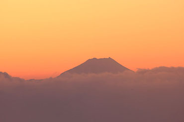 高ボッチ山 雲海　富士山