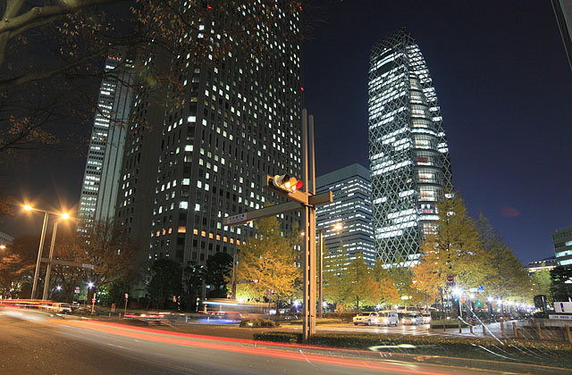 東京 新宿 夜景 西新宿 高層ビル群 イチョウ並木 黄葉