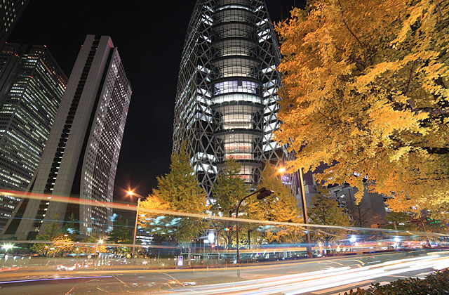 東京 新宿 夜景 西新宿 高層ビル群 イチョウ並木 黄葉