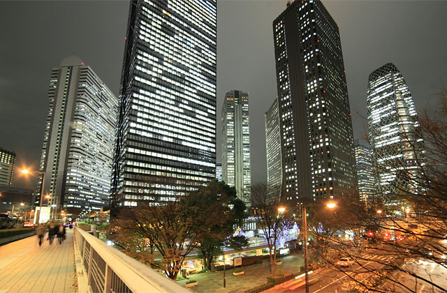 西新宿高層ビル夜景と銀杏の黄葉 水中カメラマンのデスクワークな日々
