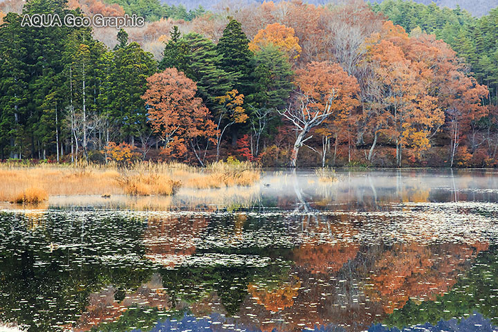 観音沼 大内宿の紅葉 水中カメラマンのデスクワークな日々