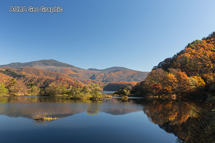 裏磐梯 水辺の紅葉 水中カメラマンのデスクワークな日々