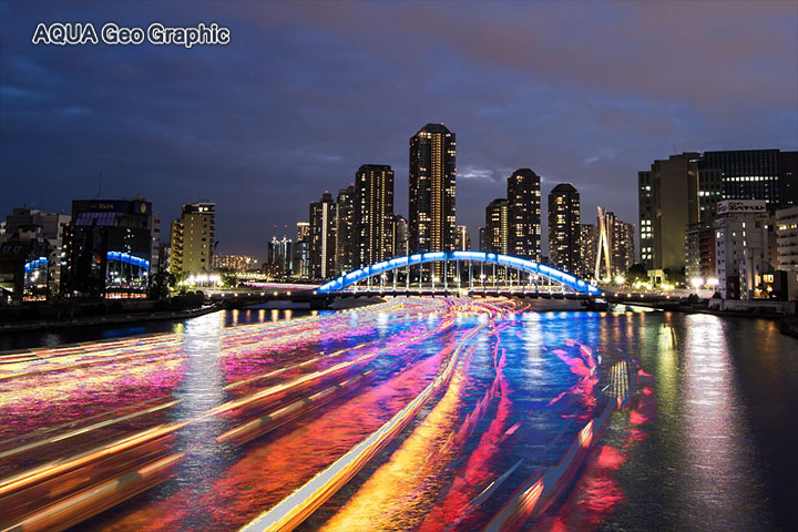 永代橋と隅田川の夜景 水中カメラマンのデスクワークな日々