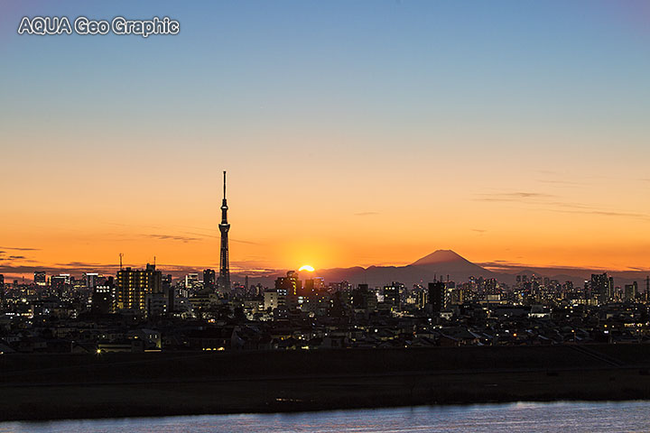 市川市 里見公園 から富士山と東京スカイツリー 水中カメラマンのデスクワークな日々