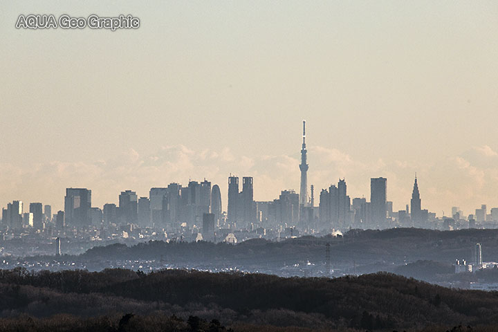 多摩丘陵から望遠 東京スカイツリーと新宿高層ビル群 水中カメラマンのデスクワークな日々