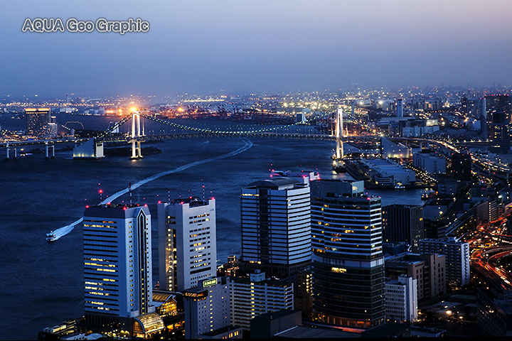 カレッタ汐留から東京夜景 水中カメラマンのデスクワークな日々