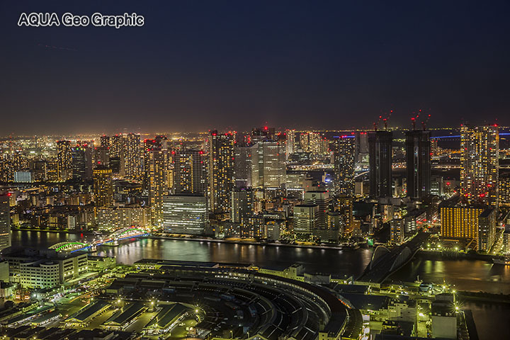 カレッタ汐留から東京夜景 水中カメラマンのデスクワークな日々