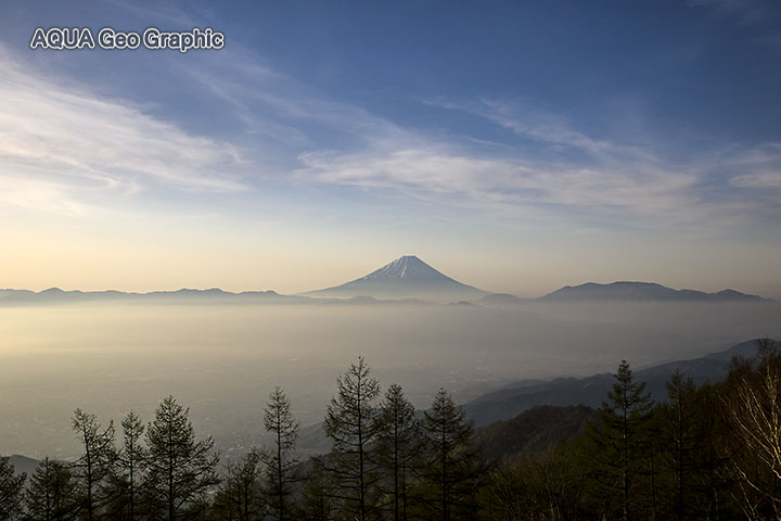 甘利山から富士山 甲府盆地の夜景 雲海