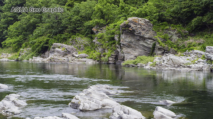 新緑の長瀞渓谷