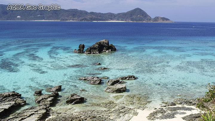 奄美大島　崎原ビーチ