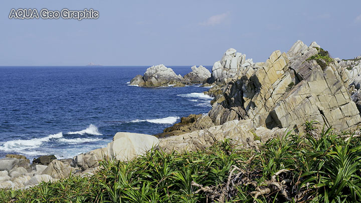 徳之島　ムシロ瀬