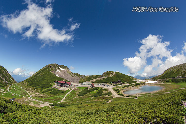 夏の乗鞍 畳平