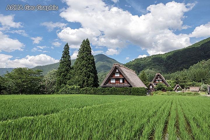 夏の白川郷