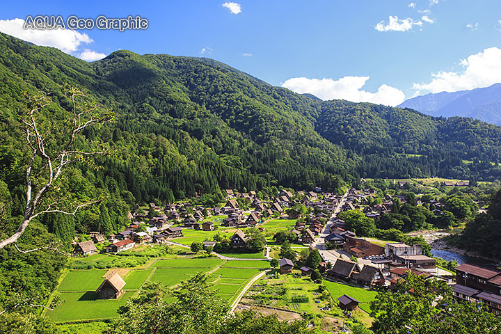 夏の白川郷