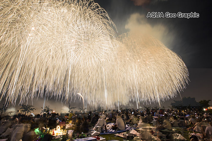 長岡花火大会　10号61発