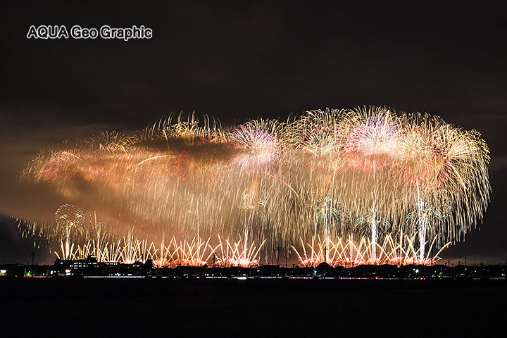 長岡花火大会　フェニックス