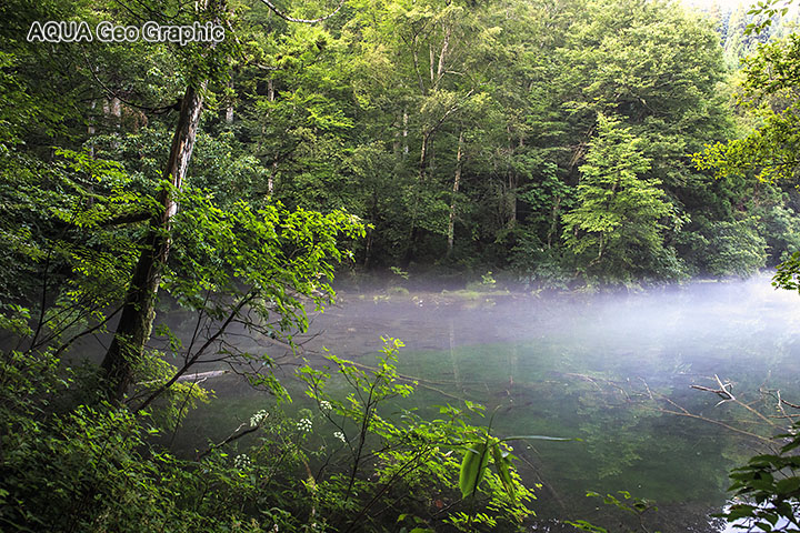 朝靄　朝もや　龍ヶ窪　竜ヶ窪
