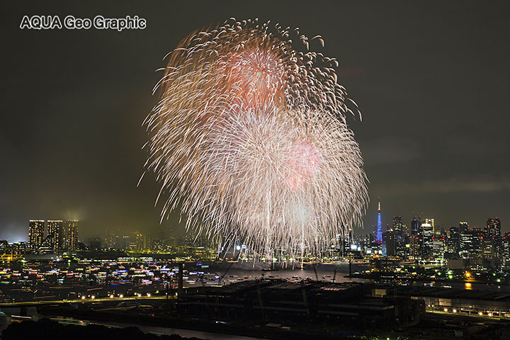 有明の高層マンションから「東京湾大華火祭」　東京タワー