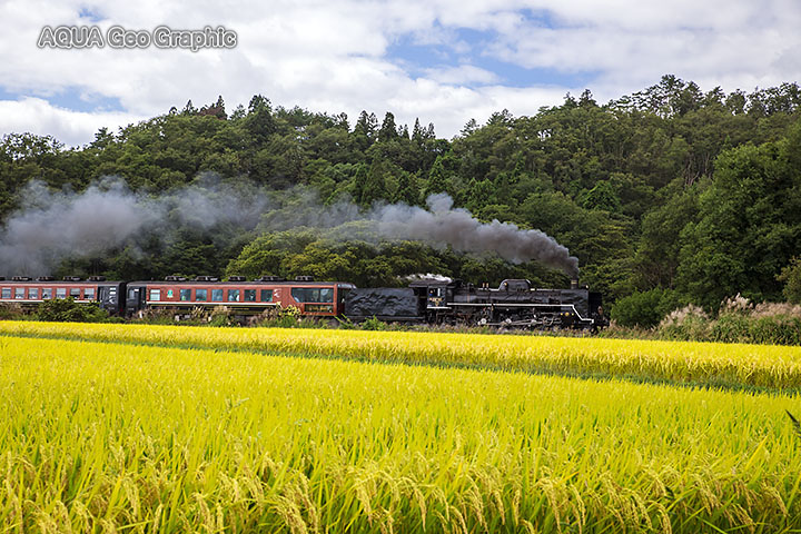 SLばんえつ物語　会津　稲穂