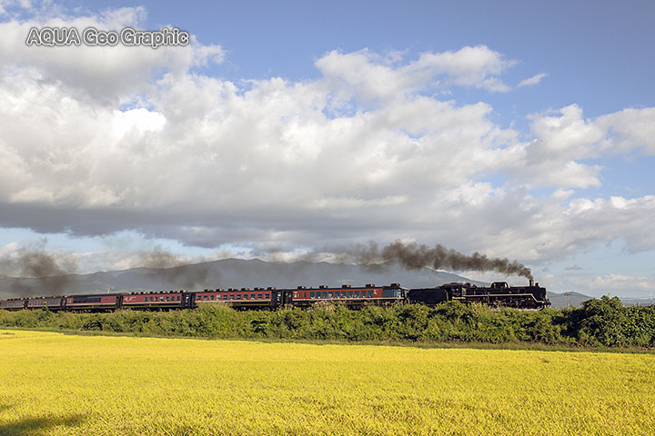 SLばんえつ物語　会津　稲穂