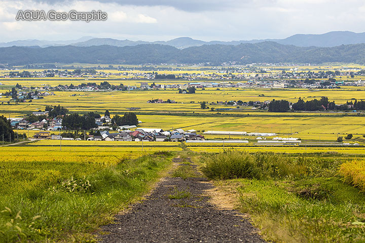 SLばんえつ物語　会津　稲穂