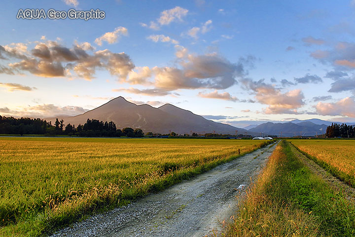SLばんえつ物語　会津　稲穂