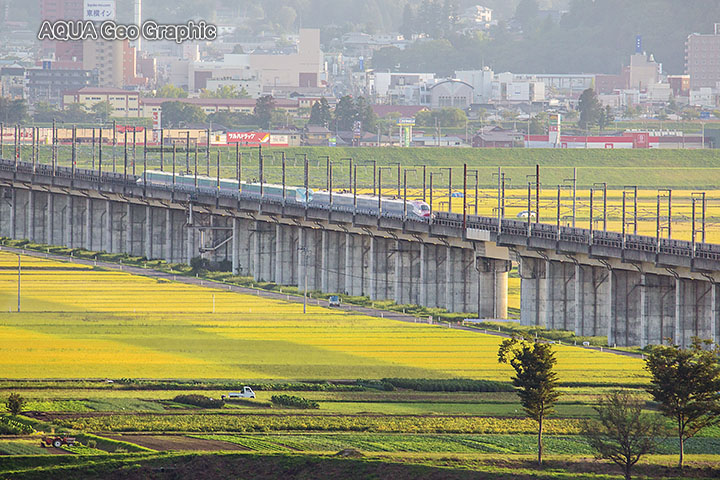 一関遊水地の東北新幹線撮影ポイント