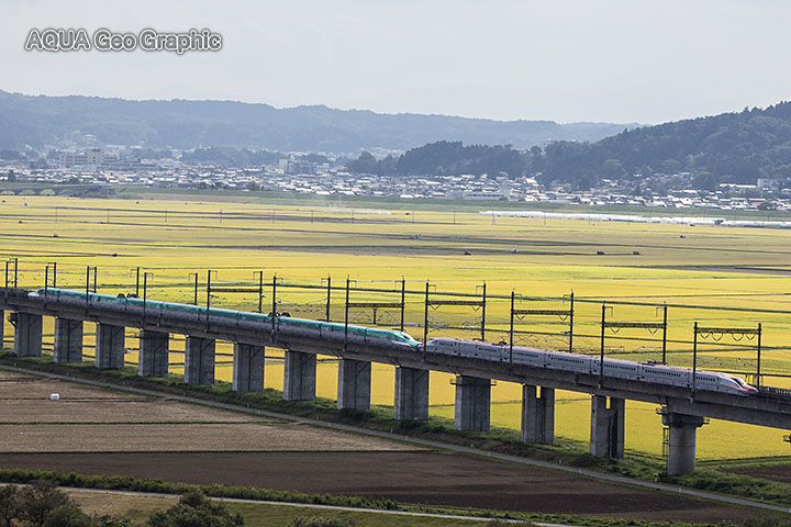 東北新幹線