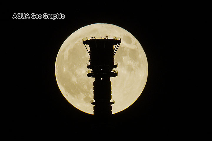 スーパームーン 東京スカイツリー