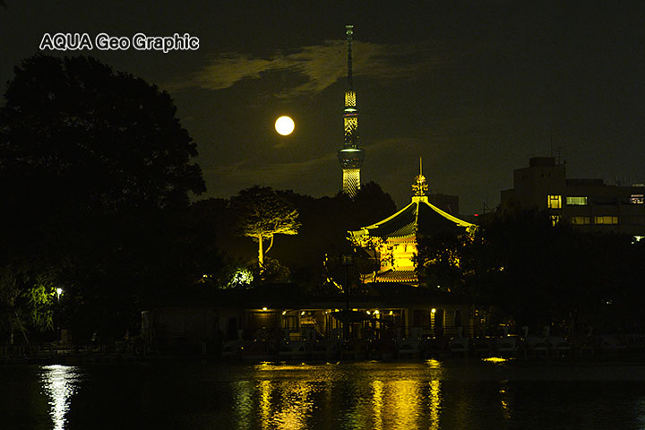 スーパームーン 東京スカイツリー